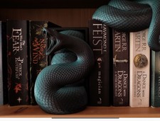 Emerging basilisk Snake Book