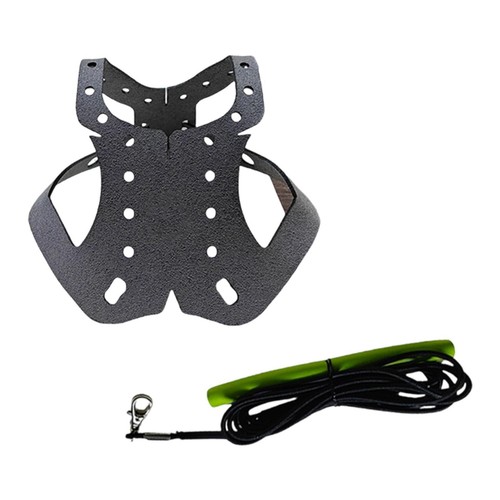 Pigeon harness and leash - pigeon,