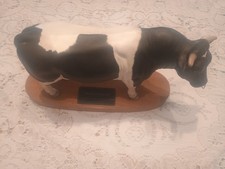 Large Beswick Friesian Bull