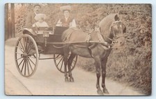 POSTCARD HORSE DRAWN BUGGY - FAMILY POSED PONY TRAP RPPC SOCIAL HISTORY