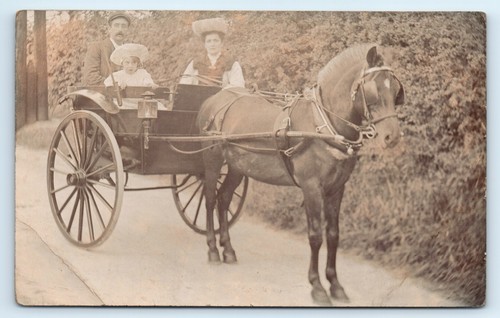 Postcard horse drawn buggy - buggy,