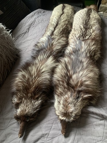 Silver fox fur stole - fox,
