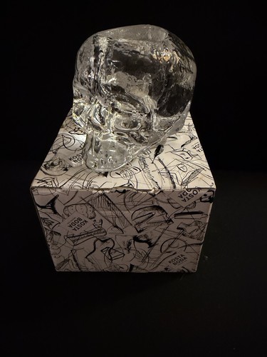 Kosta boda skull clear crystal - kosta,