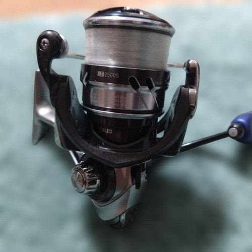 Excellent daiwa caldia - daiwa,