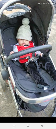 Single buggy panoramic hardly - panoramic,,