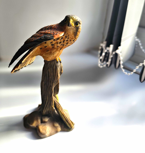 Franklin mint bird prey - bird, of