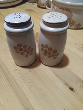 Denby Gypsy Vintage 1970s Stoneware Salt and Pepper Pots Set