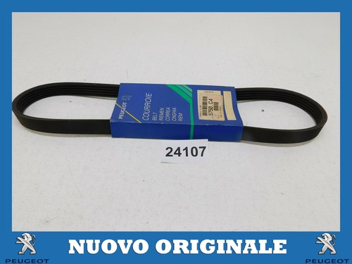 Poly ribbed belt - belt, original