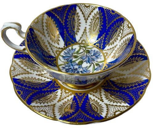 Paragon fine bone - paragon,