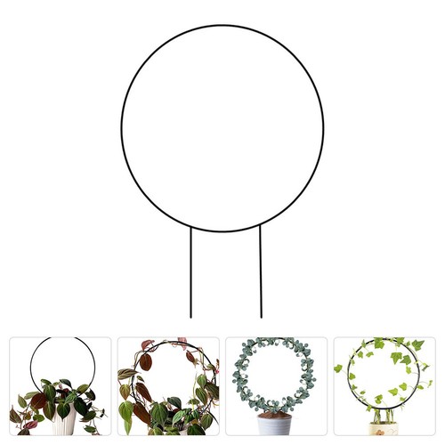 Vine climbing rack flower - climbing,