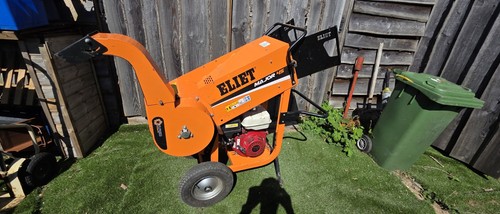 Eliet major - eliet,