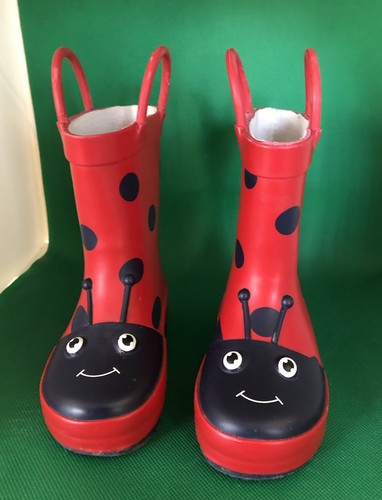 Next kids ladybird - kids,