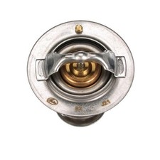 Gates Thermostat for
