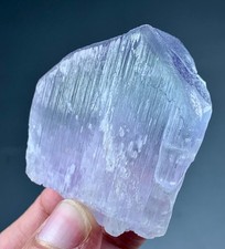 425 Carat Kunzite Crystals