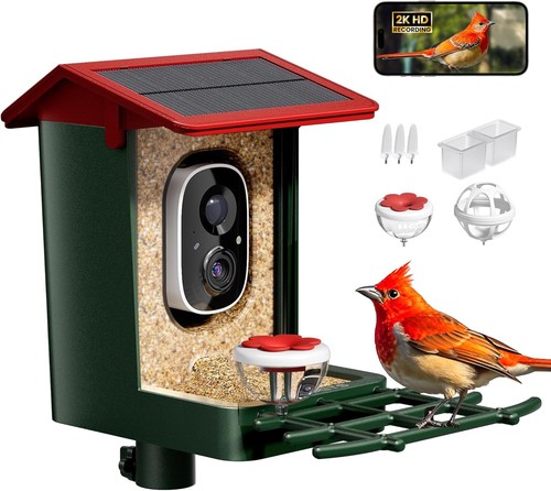 Bird feeder with camera - bird,