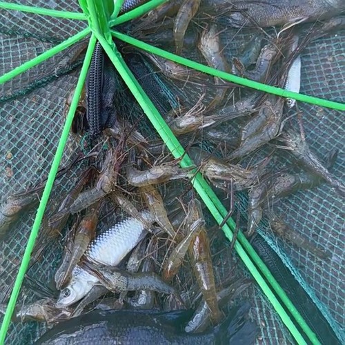 Fishing net collapsible folded - fishing,