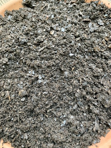 Alive soil organic - soil,