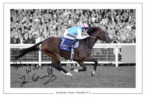 Tom queally signed - tom,