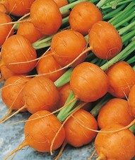 300 SEEDS - CARROT (PARIS