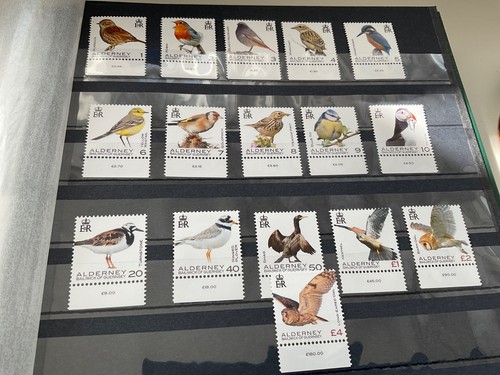 Alderney 2020 birds - alderney, birds-