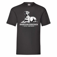 Rhodesian Ridgeback Loyal