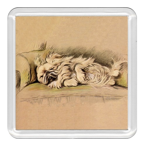Pekingese dog acrylic coaster - pekingese,
