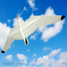 Spirit air seagull single - seagull-,