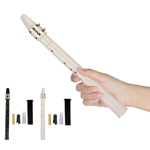 Pocket saxophone with carrying - saxophone,