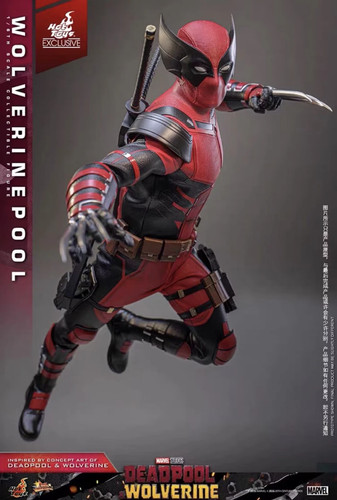 Stock share new hot toys - stock,