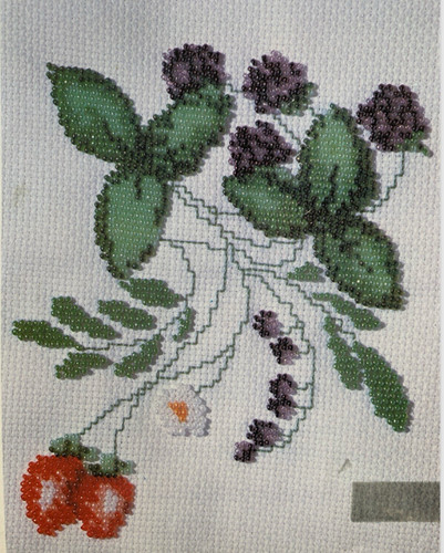 Beadwork mixed stitch - mixed, chart