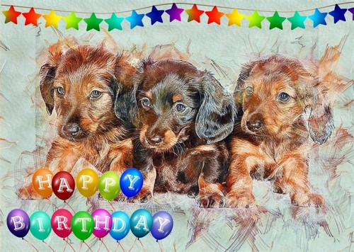 Happy birthday dachshund - birthday,