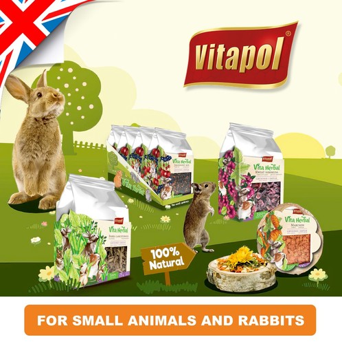 Herbs food rabbit - herbs, rodents