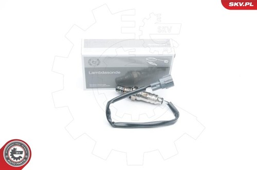 Esen skv 09skv581 - 09skv581, lambda