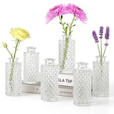Set of 12 Glass Bud Vase