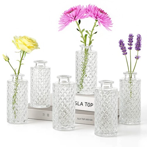 Set glass bud vase - set, 12