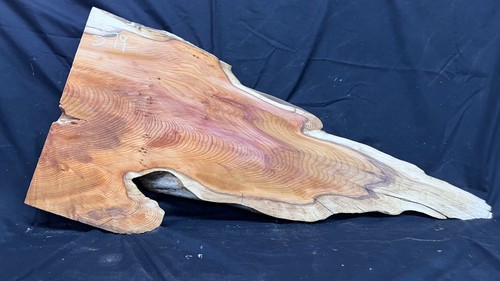 Hardwood yew slab board 1023 - hardwood, yew,
