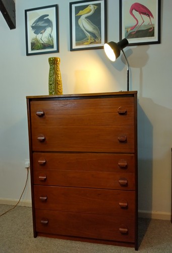 Mid century stag cantata - mid,
