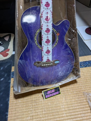Gypsy rose purple acoustic - gypsy,