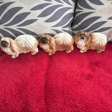 X3 Vintage Pekingese Dog