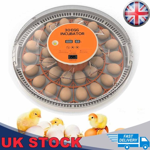 Egg incubators for hatching - 30,
