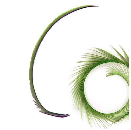 Vibrant biot feathers - vibrant, –