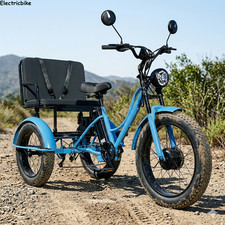 2 Seater Electric Trike  48V