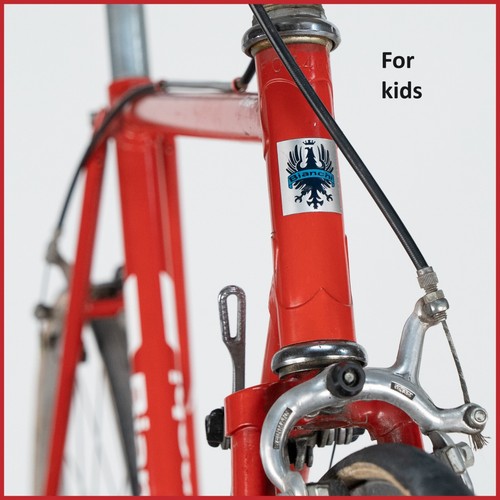 Bianchi sprint kids steel - sprint,