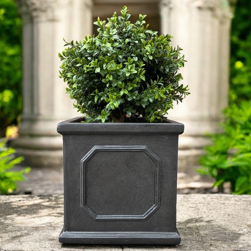 Pair 22cm chelsea box - 22cm,