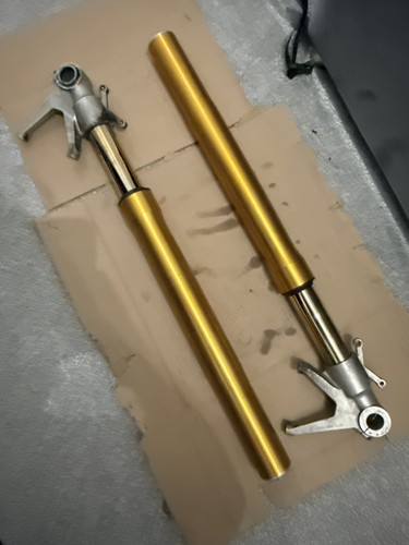 Ducati 1098s ohlins front - ohlins,