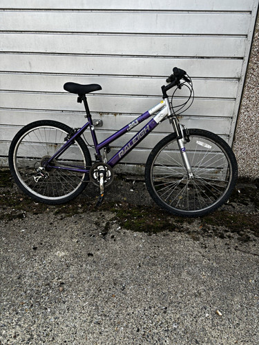 Raleigh explore inch - 20,