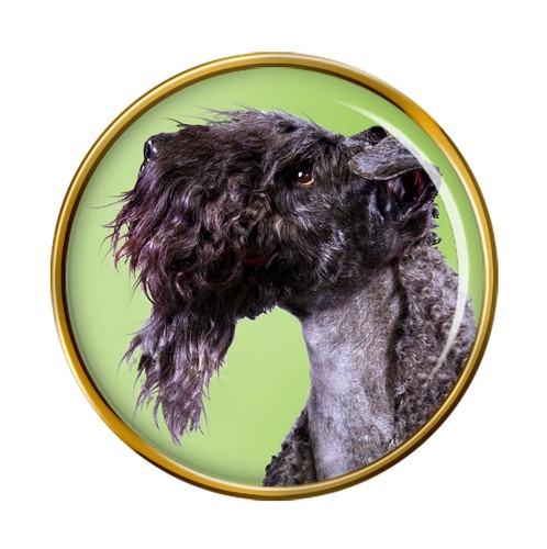 Kerry blue terrier dog - kerry,