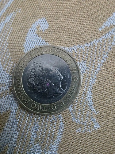 Magna carta coin - magna,