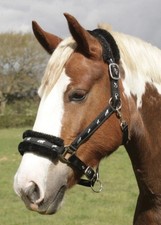Padded Horse Head Collar And