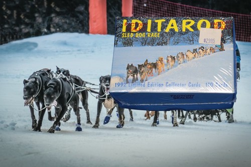 Sealed 1992 iditarod sled - iditarod, dog